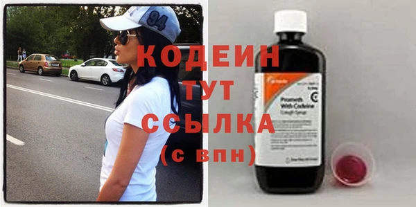 молекула духа Богданович