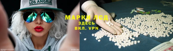 PSILOCYBIN Богородск