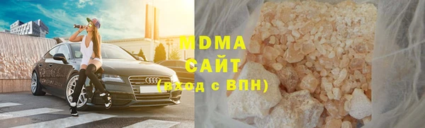 молекула духа Богданович