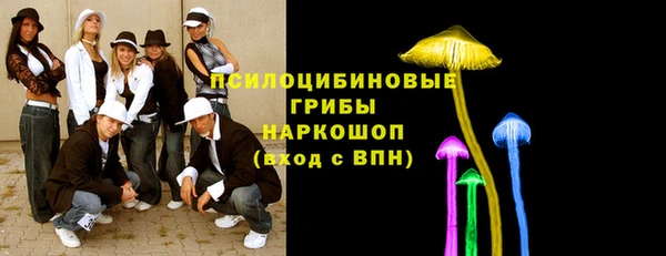 PSILOCYBIN Богородск