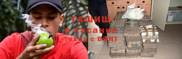 молекула духа Богданович