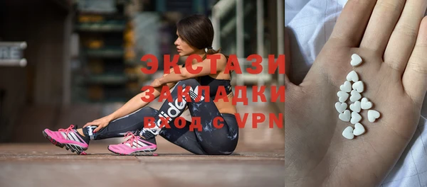 молекула духа Богданович