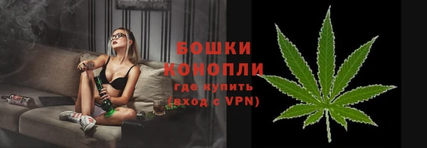 молекула духа Богданович
