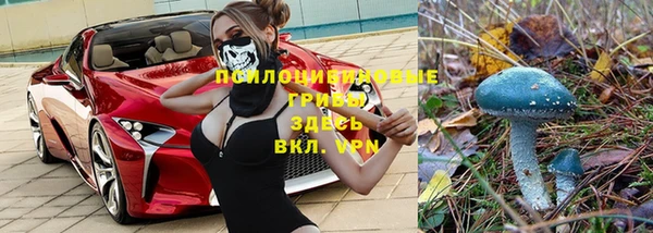 PSILOCYBIN Богородск