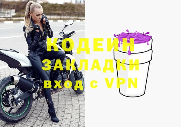 молекула духа Богданович