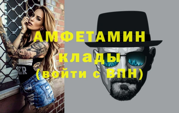 молекула духа Богданович