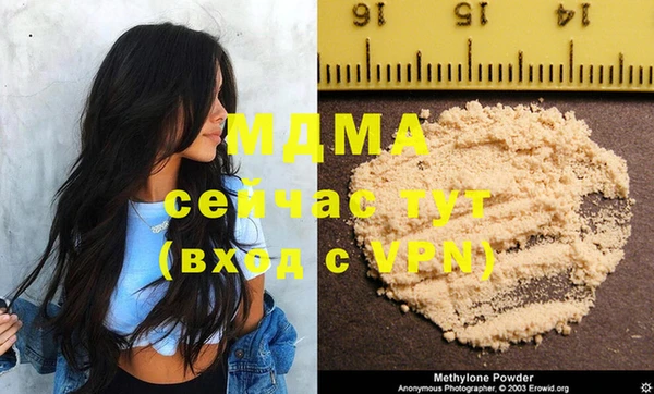 молекула духа Богданович